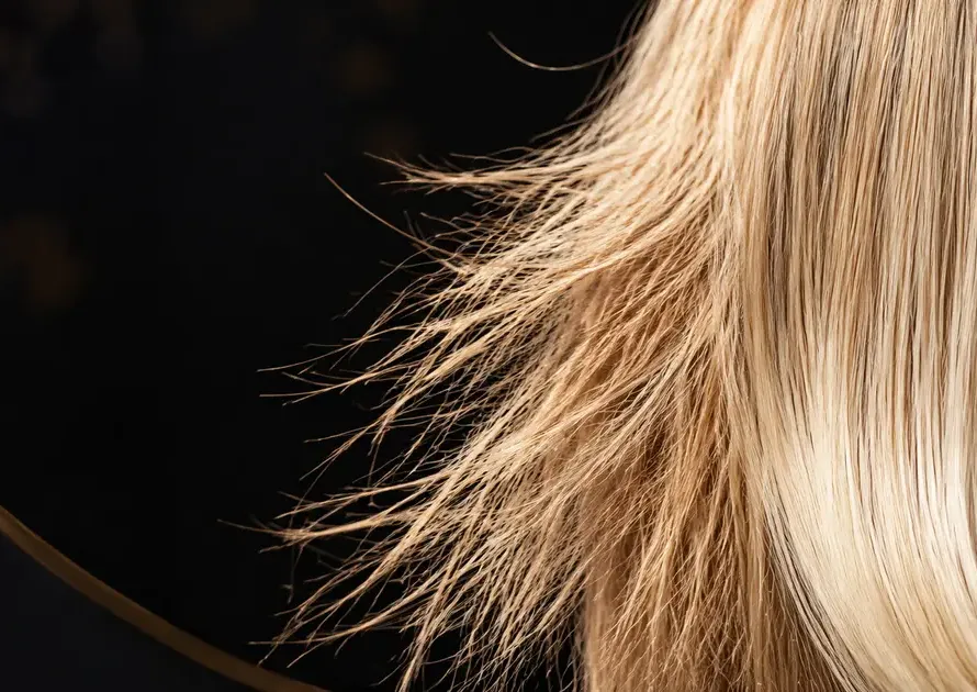 Cabello sensibilizado con rotura después de una decoloración evaluado por un profesional